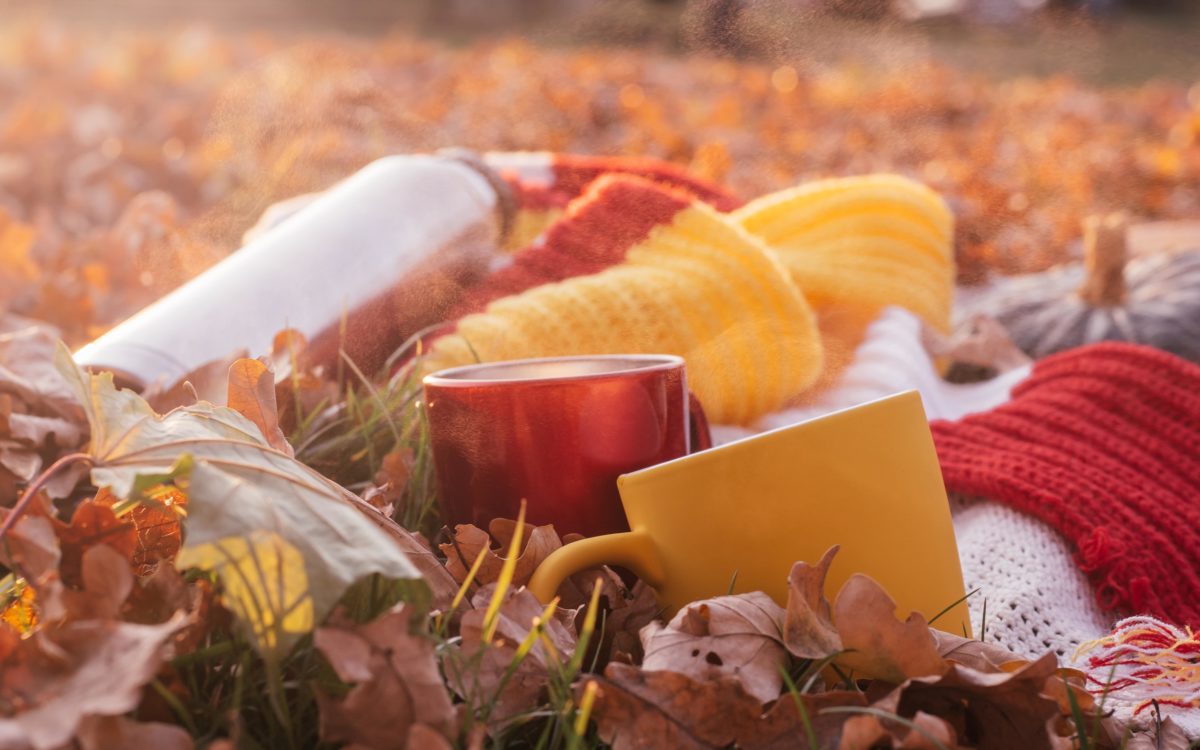 Őszi szünet: tippek olcsó programokra